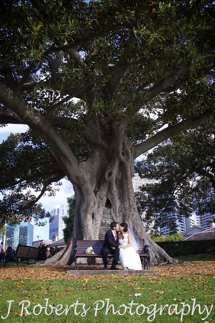 Couple kissing on bench under tree observatory hill sydney - wedding photography sydney